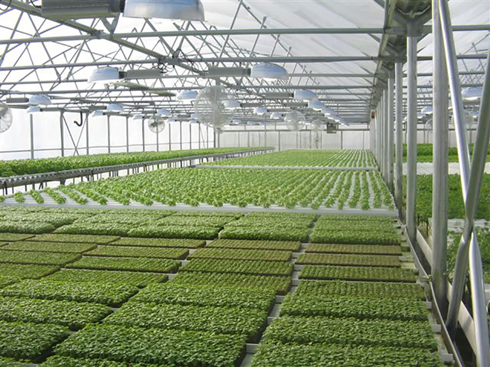 What is Aquaponics?